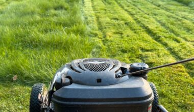 Når bør man ta siste gressklipp før vinteren? Plenforskeren er ikke i tvil