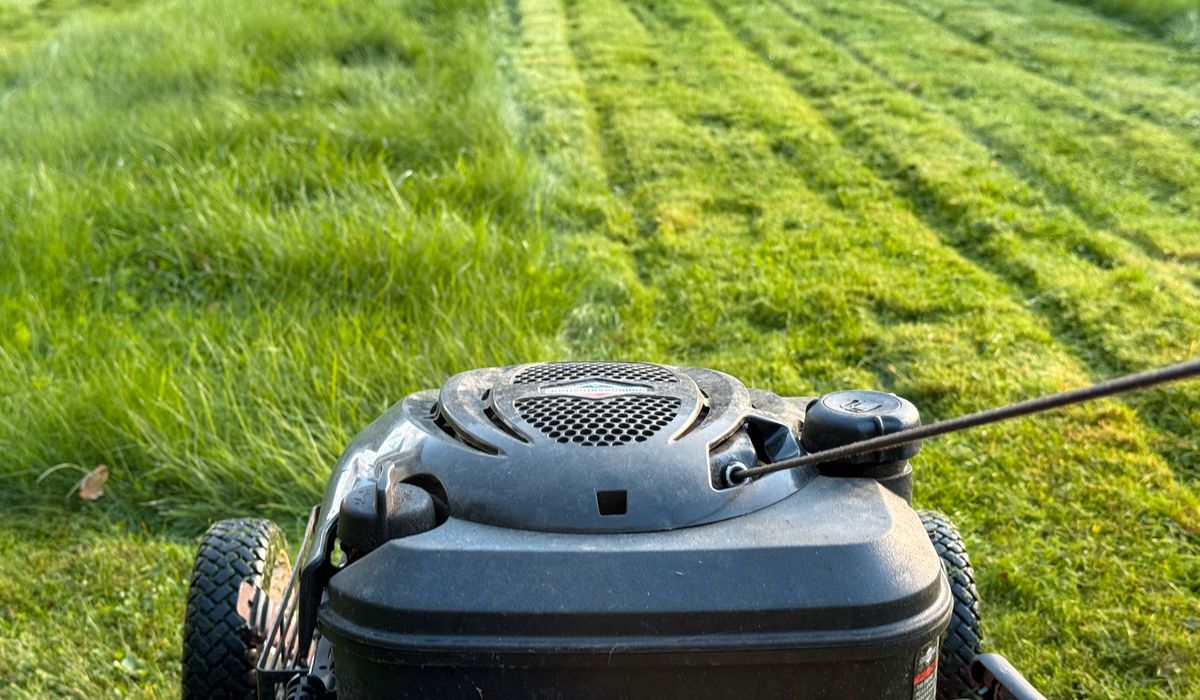 Når bør man ta siste gressklipp før vinteren? Plenforskeren er ikke i tvil