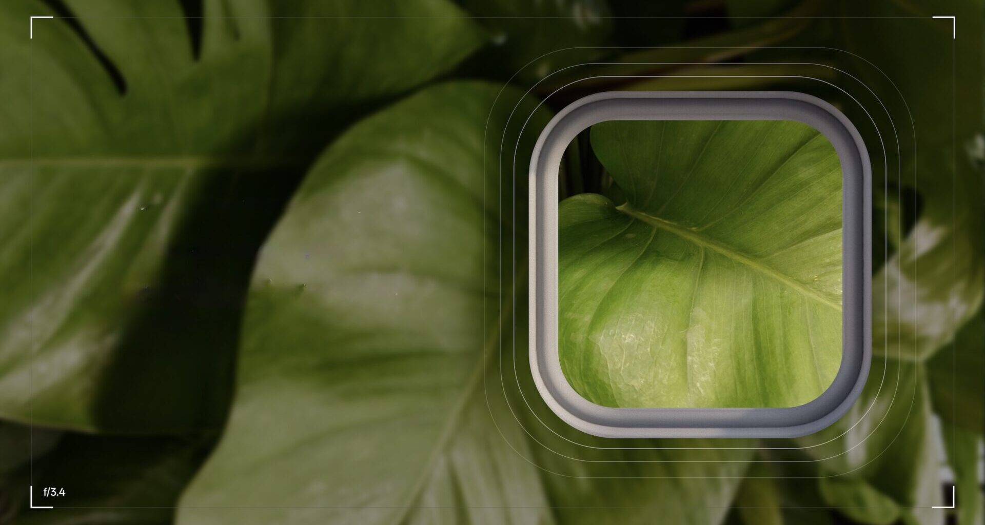 Oneplus dropper Hasselblad-teknologien i kameraet