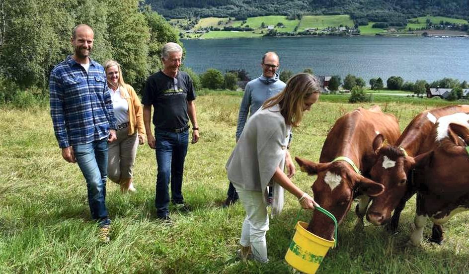 Henter 350 millioner kroner - driva.no