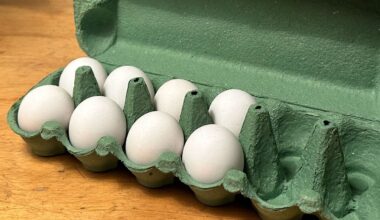 Fugleinfluensa hos eggprodusent i Hadsel - 7500 høns må avlives