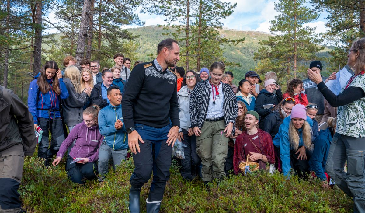 Høyere utdanning ikke så økonomisk lønnsomt her i landet