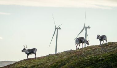 Finnmark, Hammerfest | Vil fjerne muligheten for nei: – Hver innsigelse er en for mye