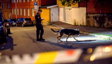 Politiet sikret barnvernsansatt da de jaktet på drapsmannen