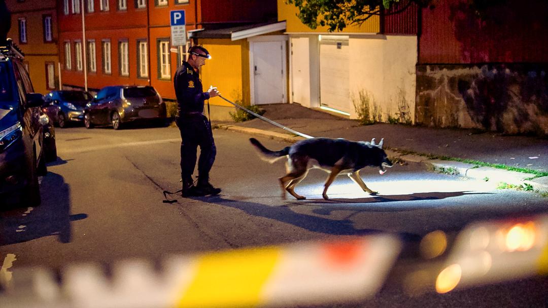 Politiet sikret barnvernsansatt da de jaktet på drapsmannen