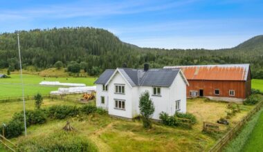 Solgte småbruk til 600.000 kroner: – En sjelden sak - mn24.no
