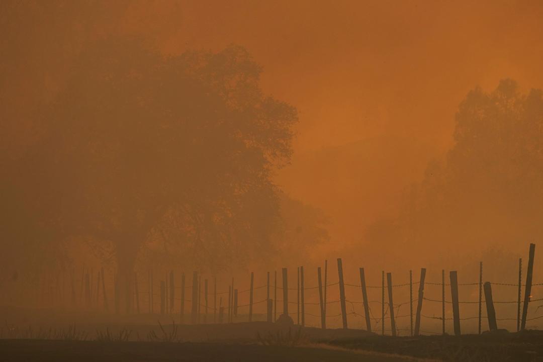 Skogbrannrøyk vil drepe 1,4 millioner årlig innen 2100