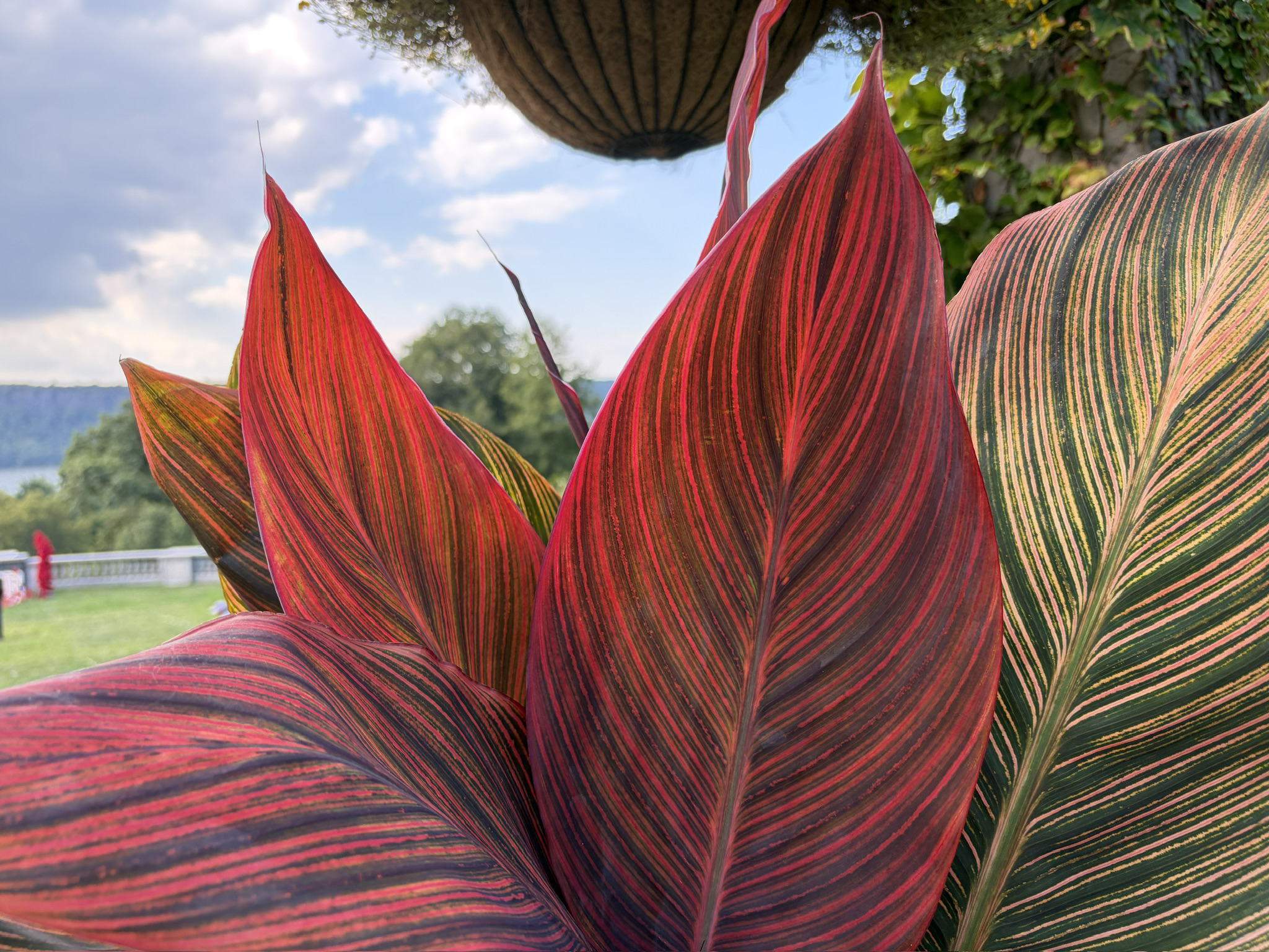 Apple iPhone Air – fotoeksempel