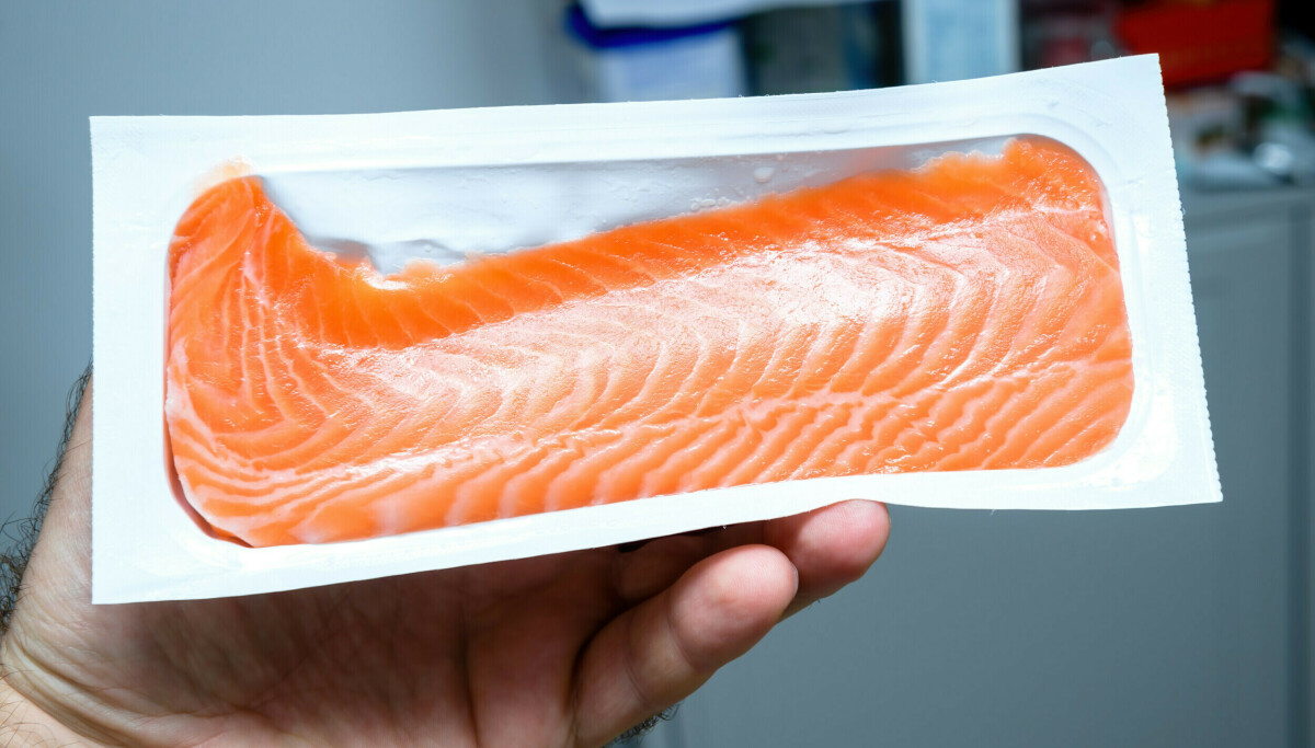 Salmalaksen er tilbake