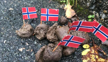 - Har aldri sett liknende