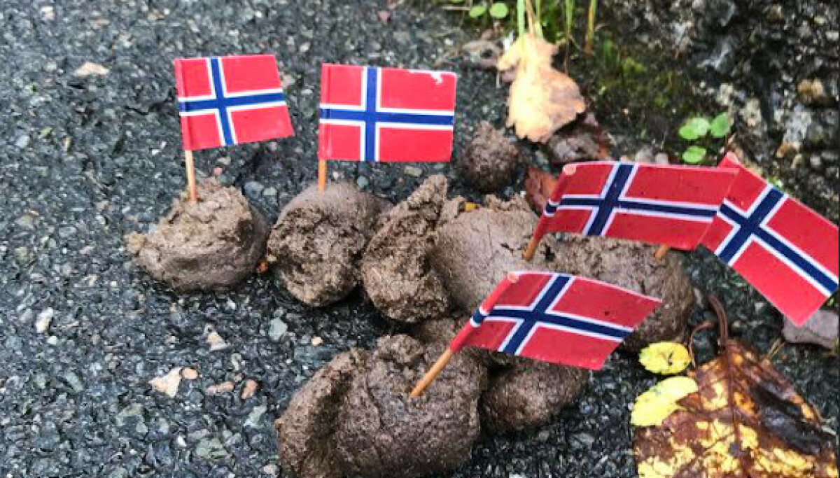 - Har aldri sett liknende