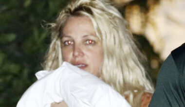 Britney Spears bor i rotete hus dekket av hundebæsj