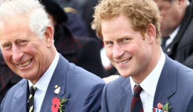 Prins Harry og kong Charles gjenforenes etter ett og et halvt år