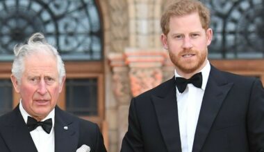 Prins Harry bryter tausheten etter møtet med kong Charles i London
