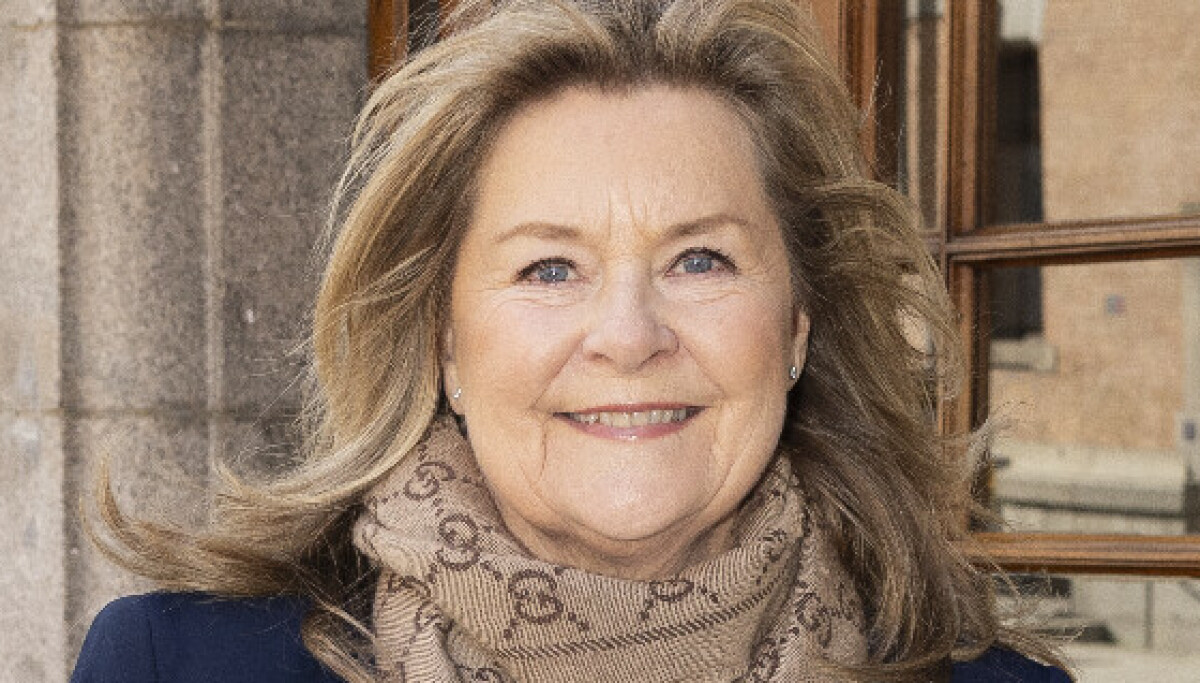 Elisabeth Andreassens går til retten for sommerparadiset