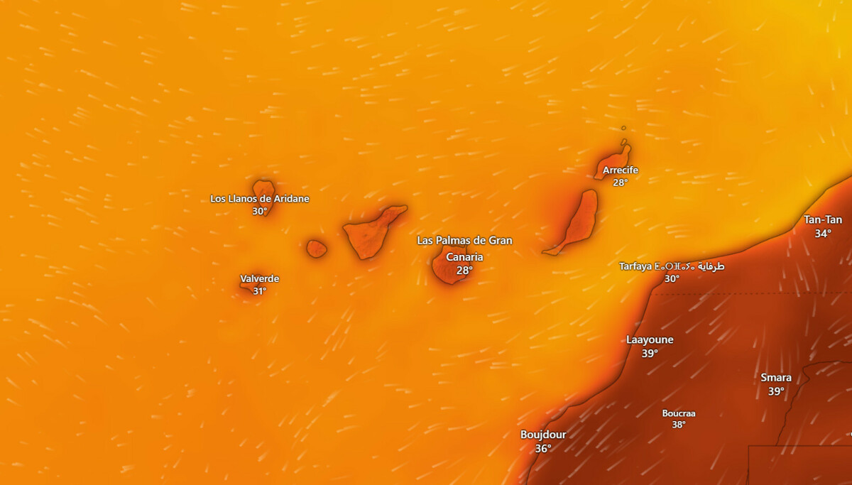 Varsler hetebølge: 38 grader
