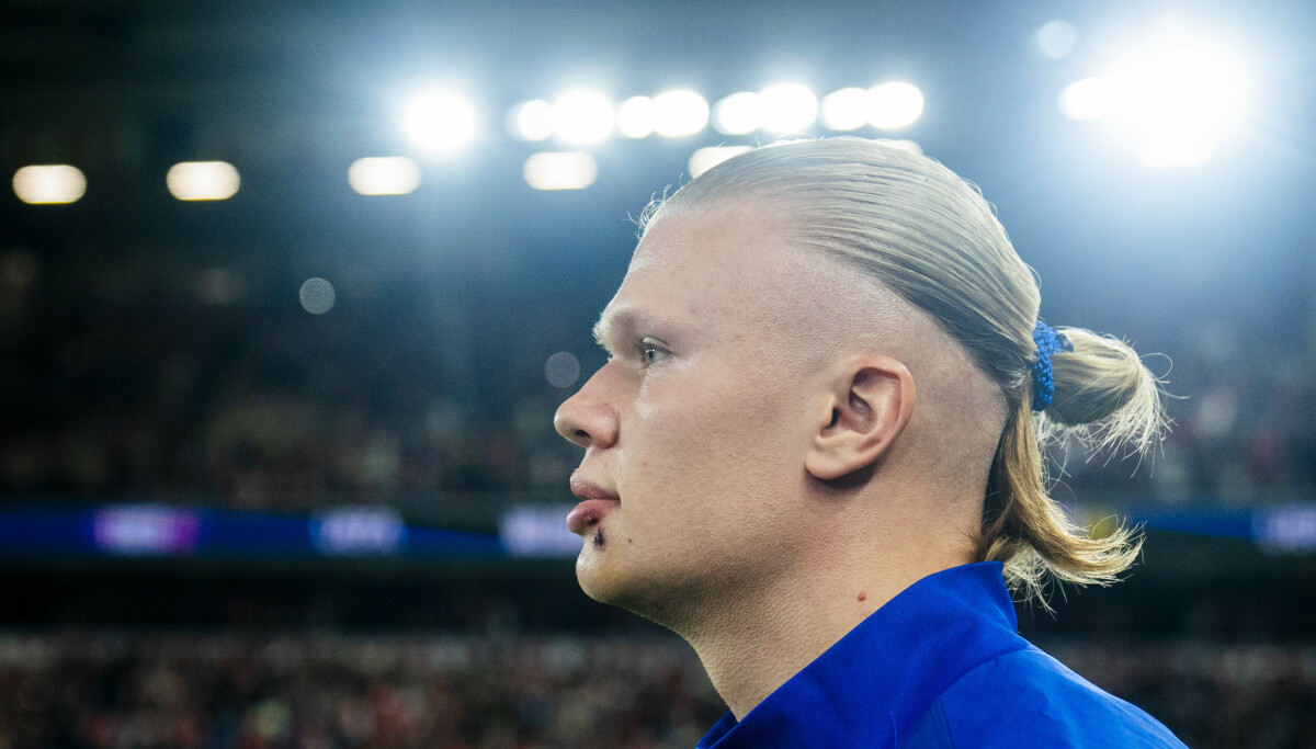 – Han er et rovdyr