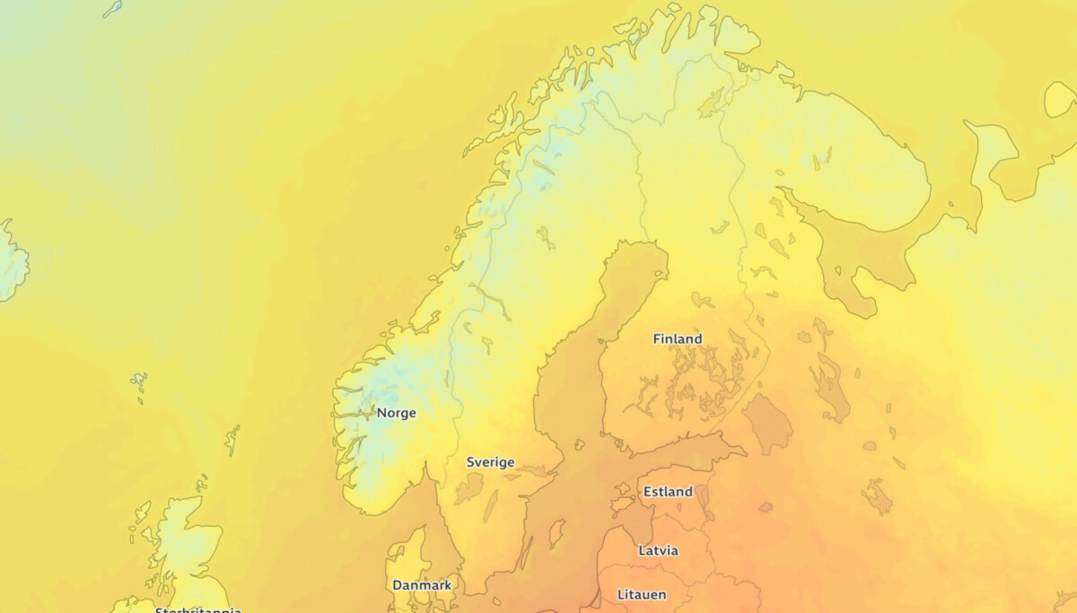 Finn fram ullgenseren