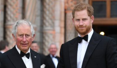 Kong Charles nekter prins Harry en halvveis rolle i kongefamilien