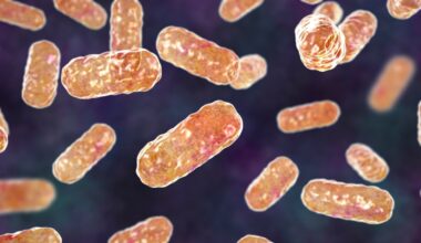 «Marerittbakterie» øker i Norge: FHI advarer