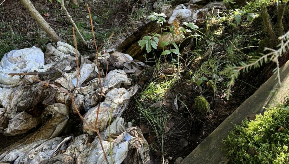 Rystende funn: Tusenvis av bleier dumpet