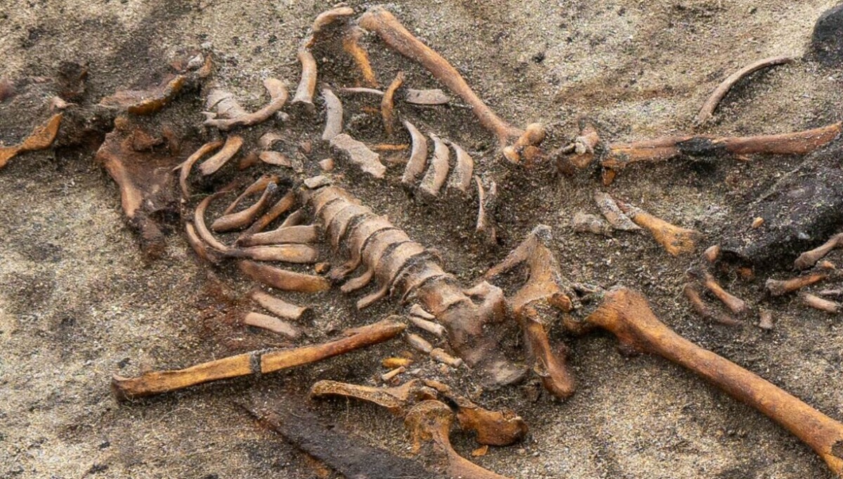 Norsk sensasjon: - Utrolig