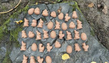 «Hundedødaren» har slått til igjen i Oslo