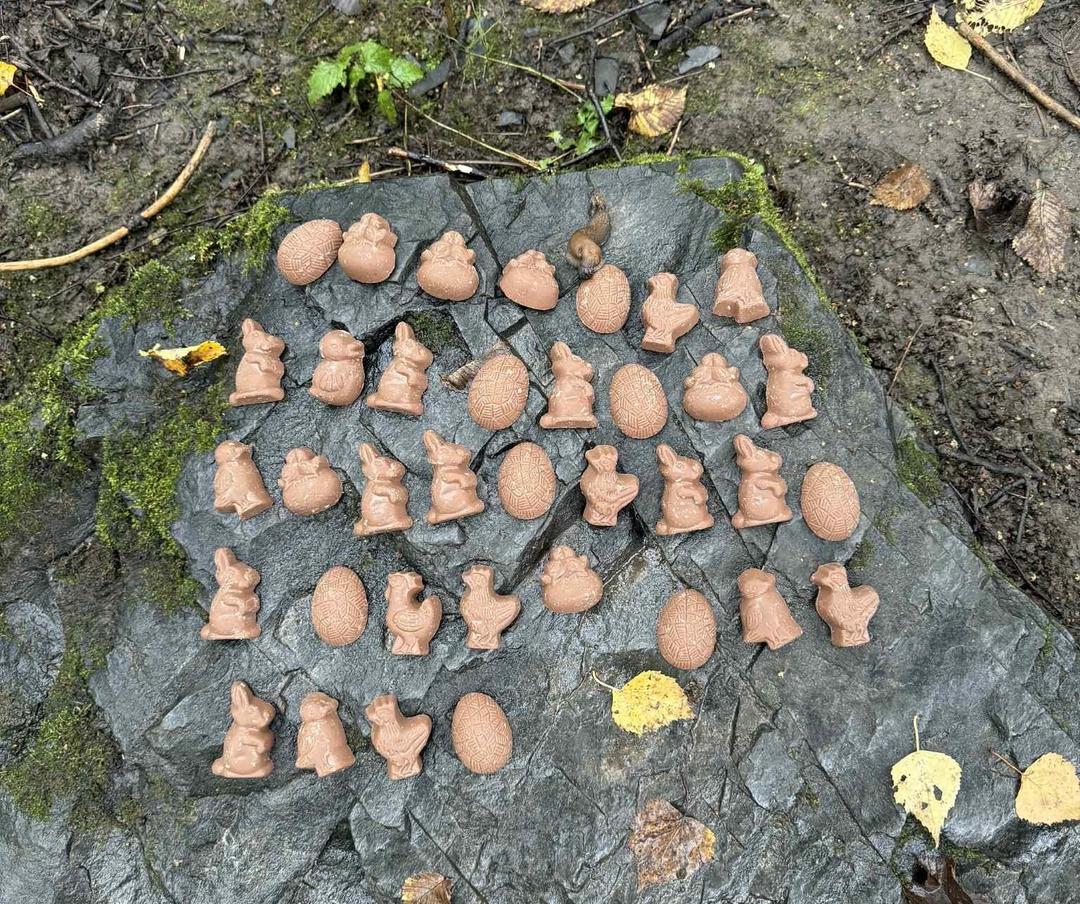 «Hundedødaren» har slått til igjen i Oslo