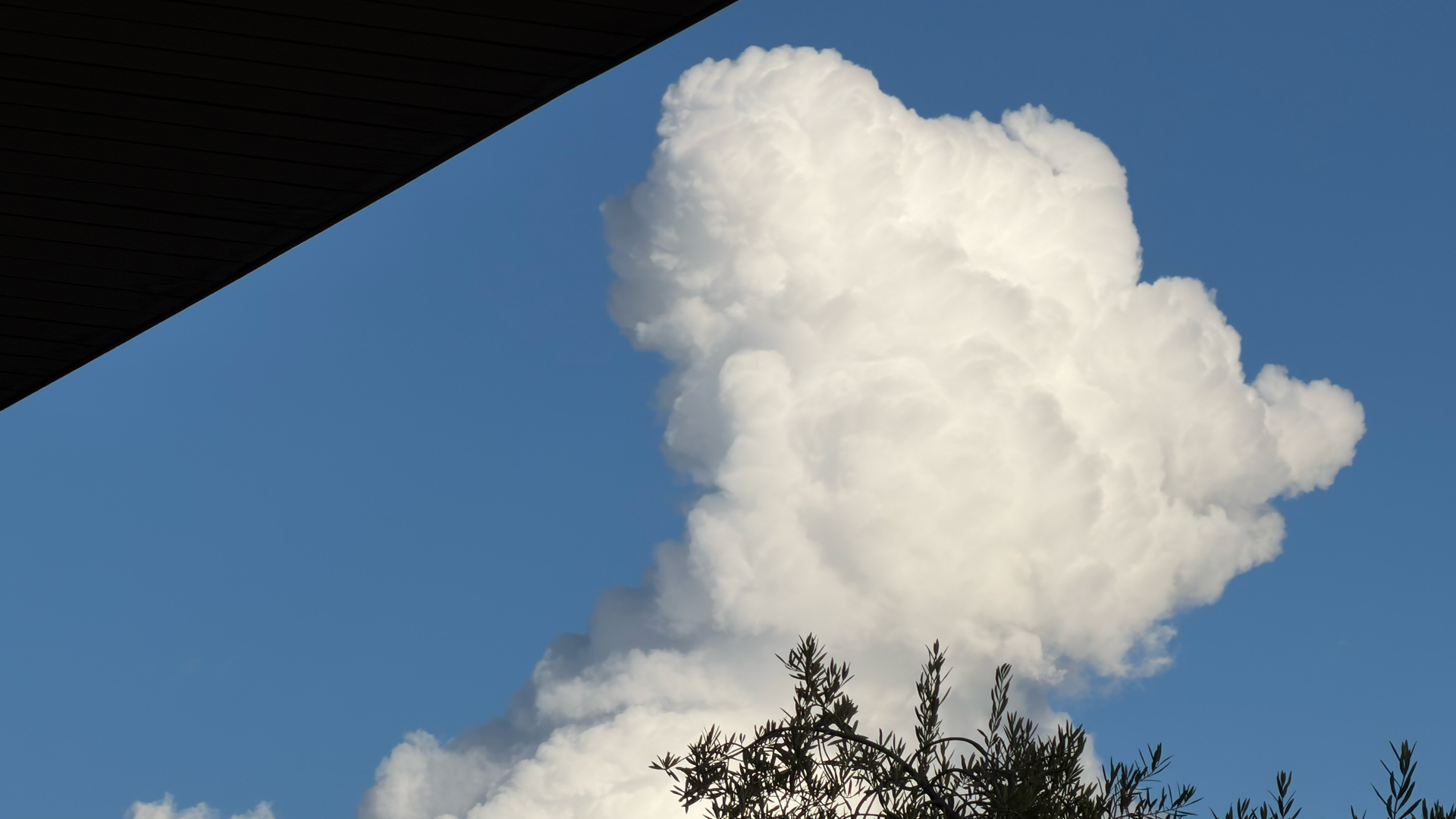 Apple iPhone 17 Pro – fotoeksempel