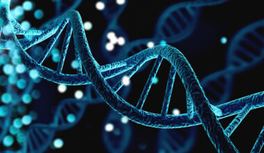 Fremtidens harddisk kan være laget av DNA