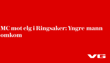 MC-fører kolliderte med elg i Ringsaker