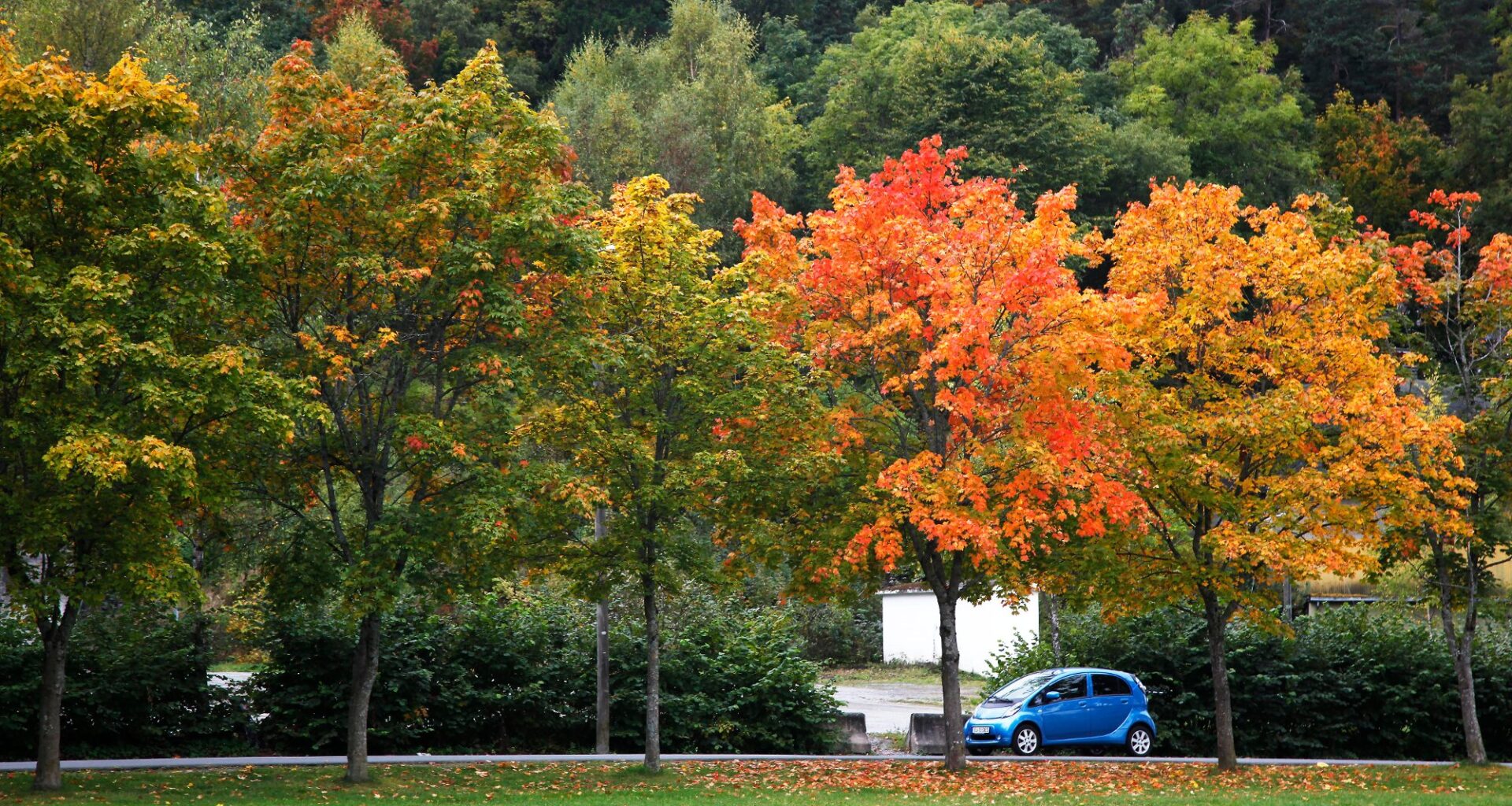 Nyheter, Høstferie | Høstferie: Anbefaler vinterdekk