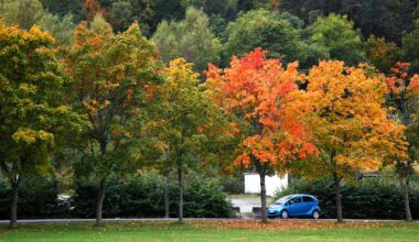 Nyheter, Høstferie | Høstferie: Anbefaler vinterdekk