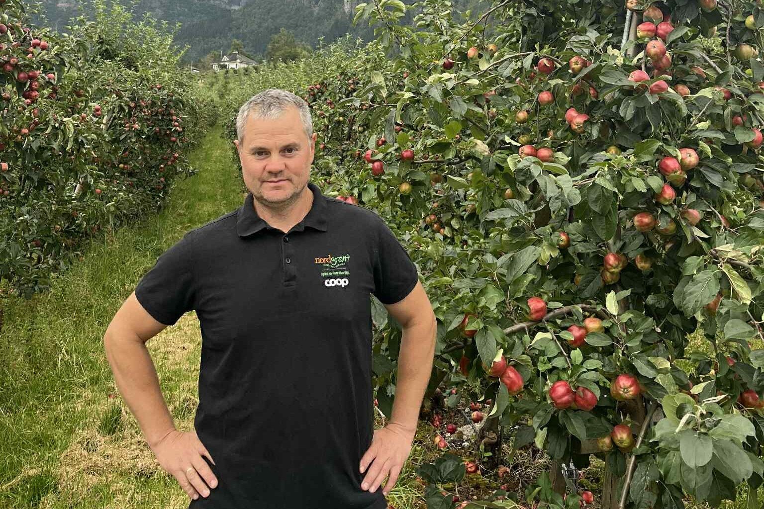 Norske epler, Epler | – Norske epler helt frem til mars-april