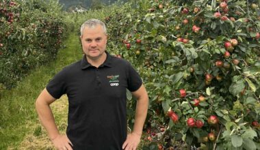 Norske epler, Epler | – Norske epler helt frem til mars-april