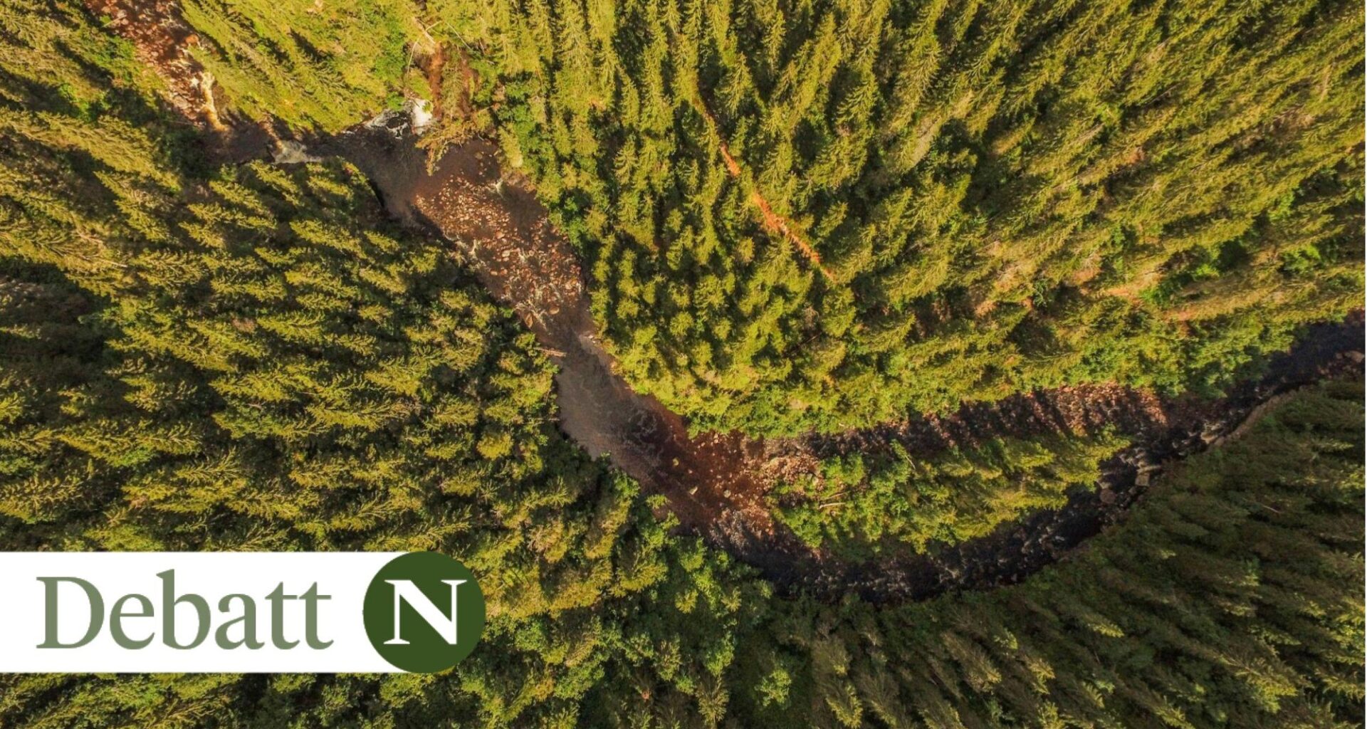 Skog, Natur | Norsk natur: Bare et par prosent av skogen i Norge er gammel, naturnær skog, lite påvirket av hogst