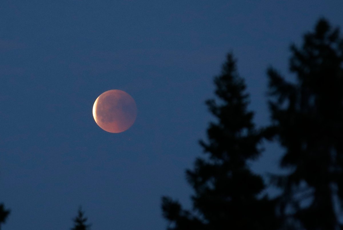 Måneformørkelse, Bergen | Måneformørkelse i kveld: Meteorologen med kjip beskjed