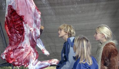 Slakting, Skole | Mener barn bør lære om slakt på skolen