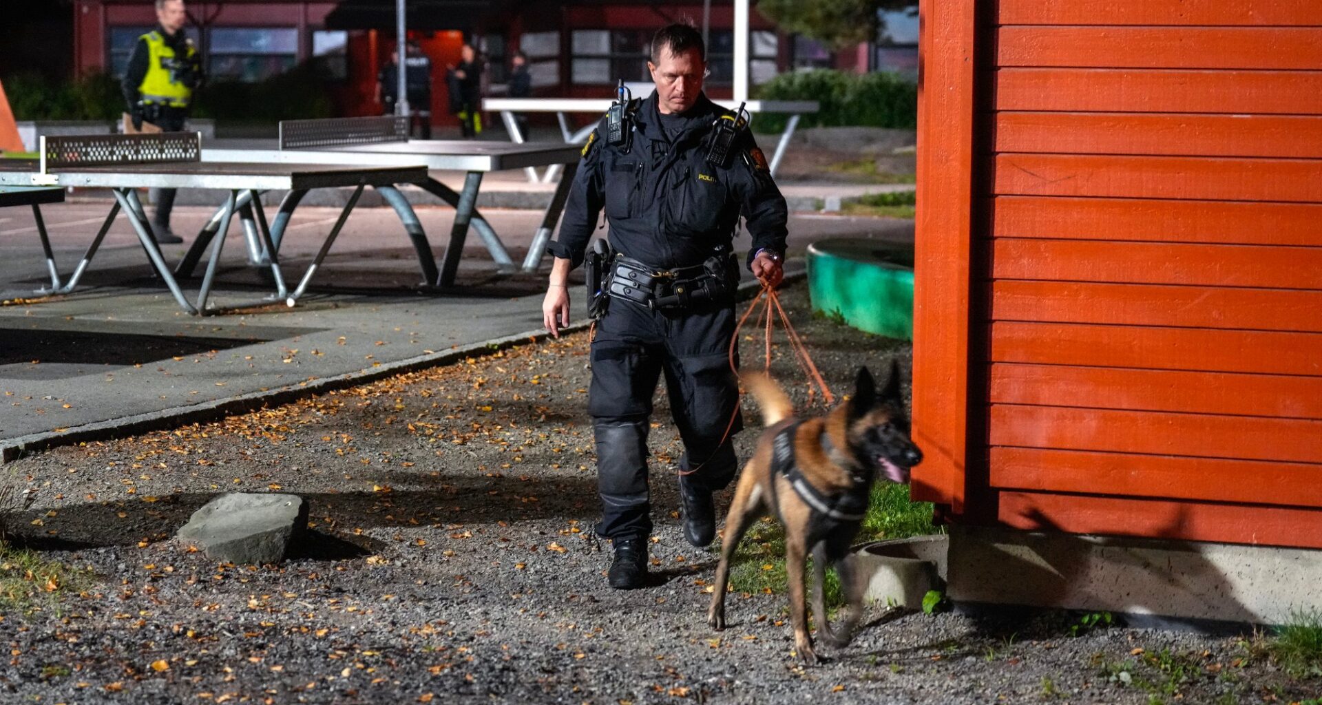 Ungdomskriminalitet, Mortensrud barneskole | To tenåringer tiltalt for skyting ved barneskole