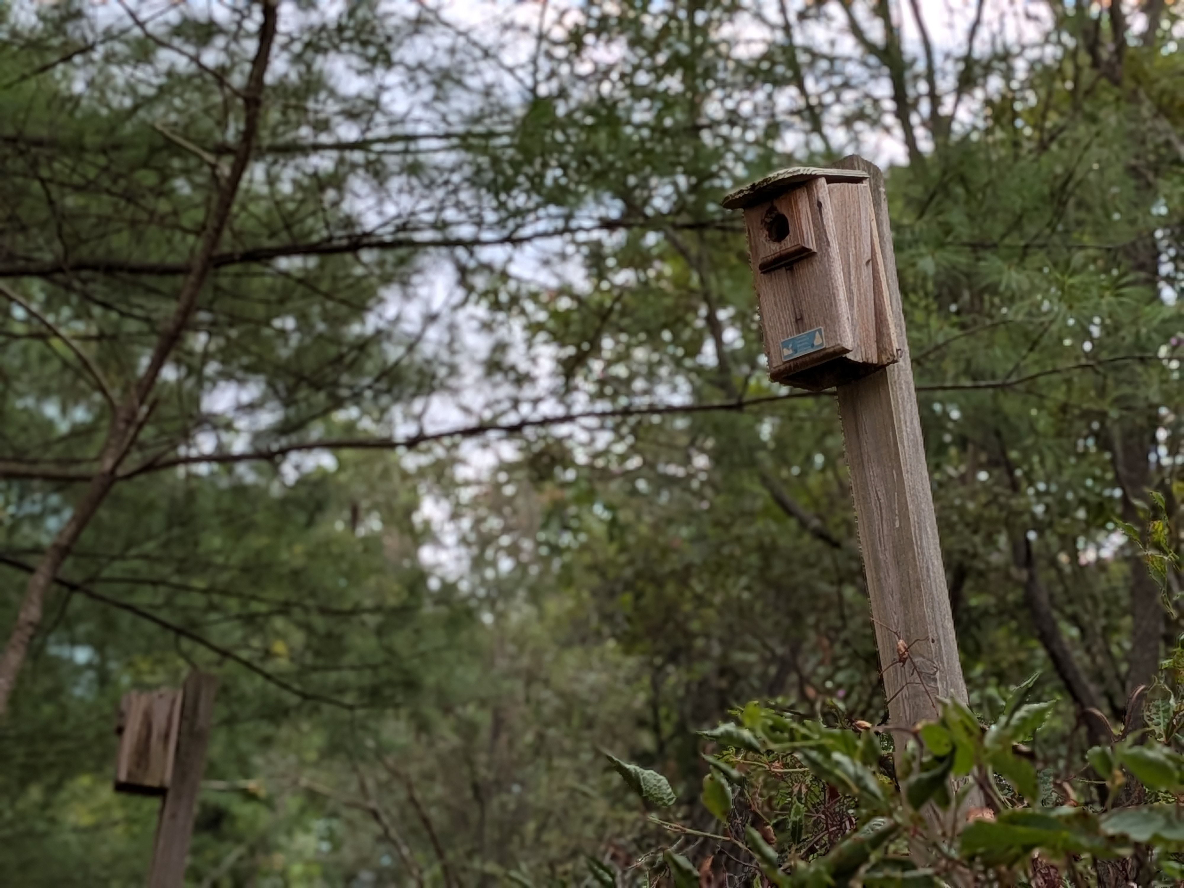 Google Pixel 10 – fotoeksempler