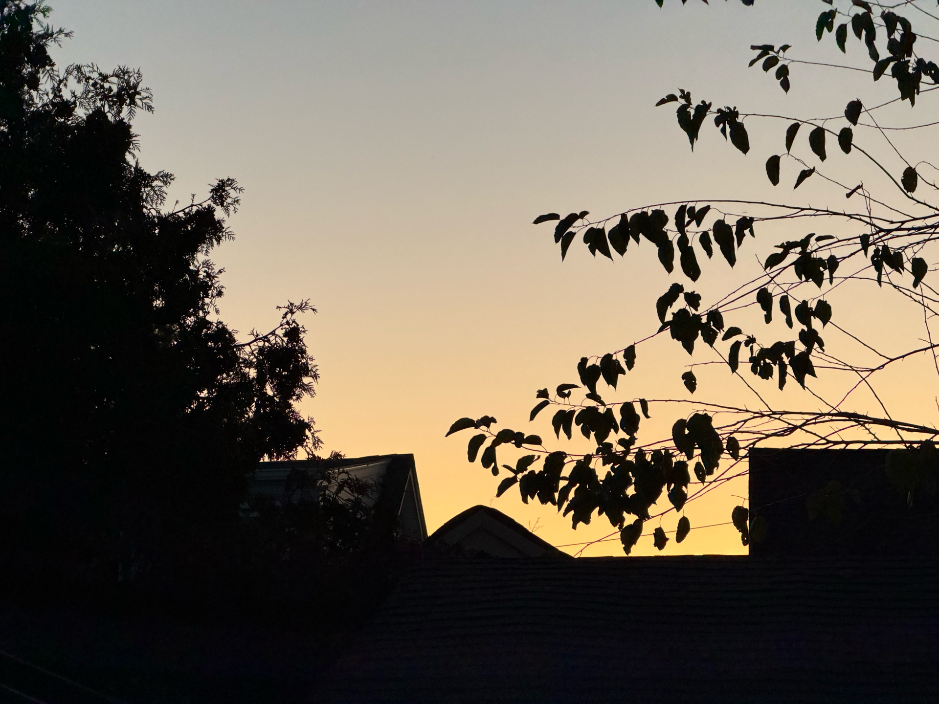 Apple iPhone 17 Pro – fotoeksempel