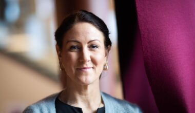Arbeiderpartiet, Elavgiften | Vil kutte elavgiften