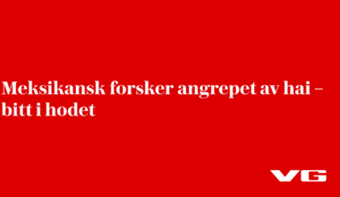 Meksikansk forsker angrepet av hai – bitt i hodet