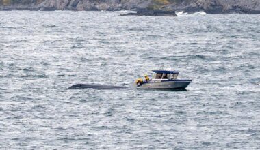 Så rednings­aksjonen i ­Lofoten: – Utrolig tragisk