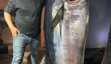 Single Marcus (31) fikk napp – dro opp 280 kilo makrellstørje på stang
