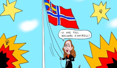 Vi har ikke råd til svenske tilstander