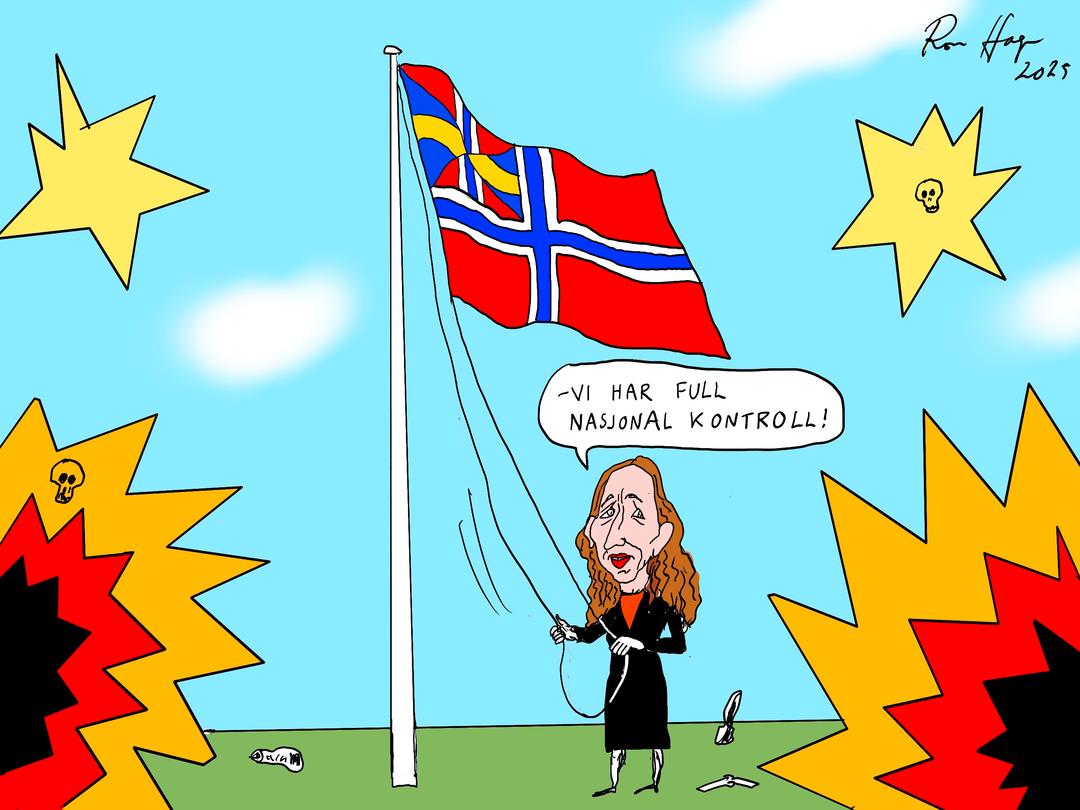 Vi har ikke råd til svenske tilstander