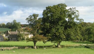 Vil dekolonisere engelsk landsbygd: Den er «for hvit»