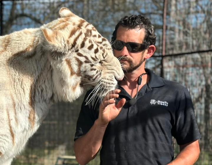 Tigertrener knyttet til Joe Exotic drept av tiger