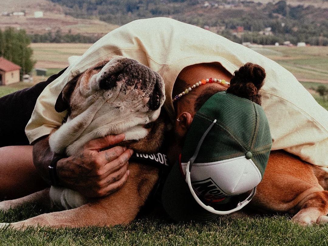 Lewis Hamilton i sorg etter hundens dødsfall: – Mistet min bestevenn